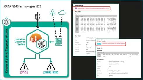 فناوری IDS